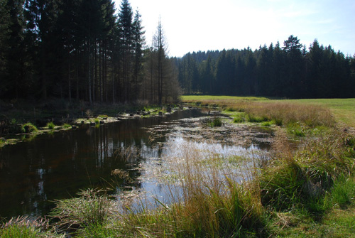 Wanderung nach Dalken & Einkehr in der Strausswirtschaft