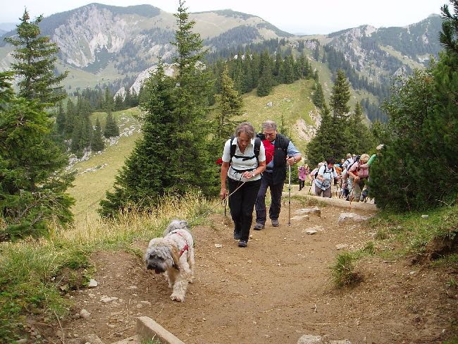 Gebirgswanderung zur Rotwand