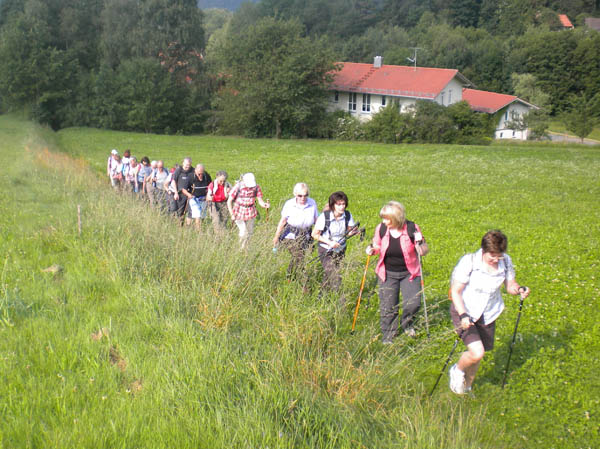 Wanderung nach Drachselsried - Schareben