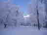 DtRiegel2