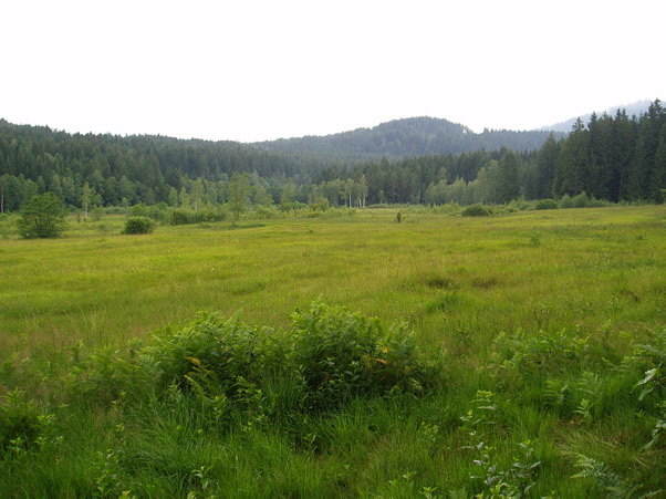 Hennenkobel_11