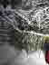 IMG-20220215-WA0011